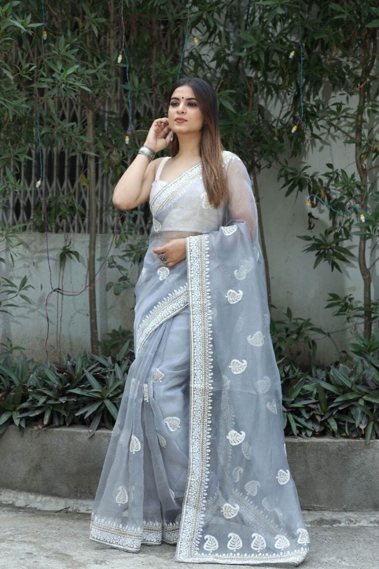 Organza Kashmiri Thread Work Saree